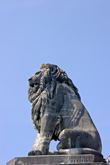 Bayrischer Löwe
