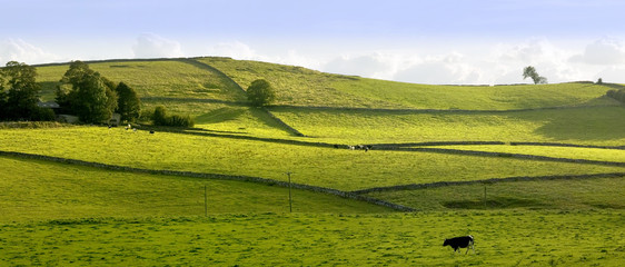 Fototapeta premium peak district