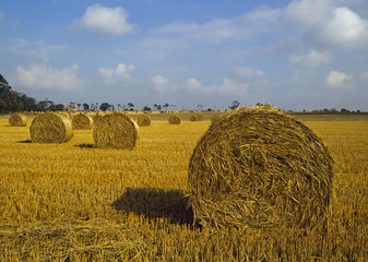 farmland © david hughes