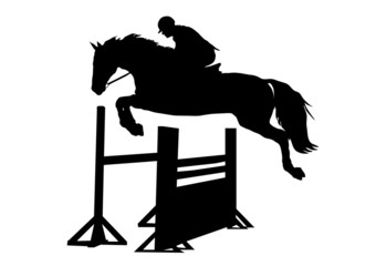 Springreiter und Hindernis © br.illu