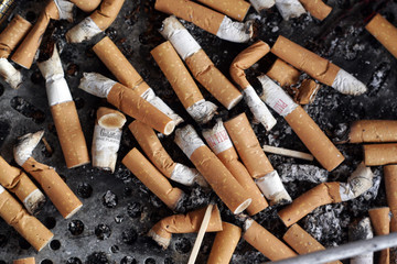 Zigarettenkippen