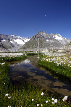 Paysage de montagne