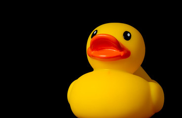 Yellow Rubber Duck