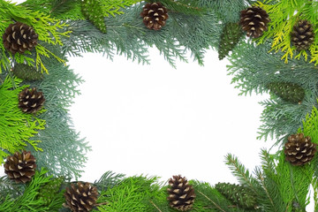 Christmas frame with cones