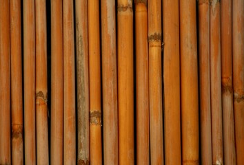 Hintergrund Bambus