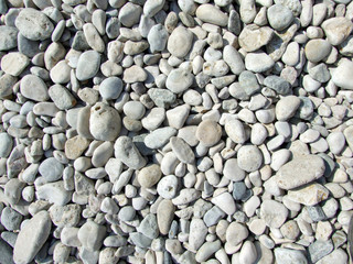 pebbles on the beach of the Black Sea1