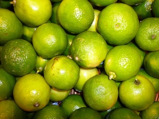 Limetten
