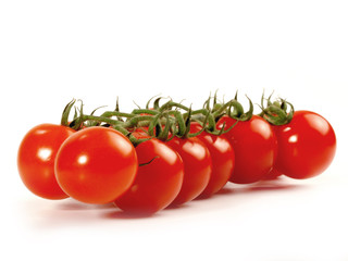 Tomato / Tomatoes