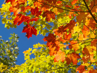 couleurs parc de la mauricie