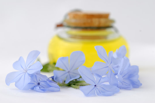 extrait de fleur