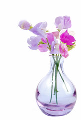 Colorful vase of sweet pea flowers on white background