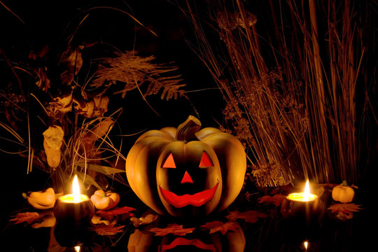 Halloween pumpkin and dry plants.