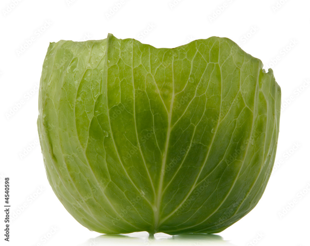 Poster green cabbage