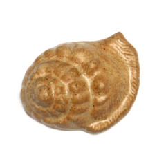 coquillage céramique