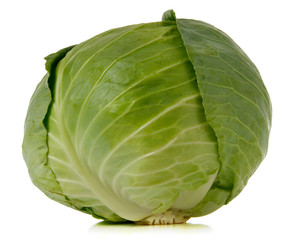 Fototapeta premium green cabbage