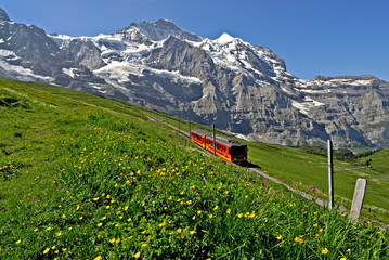 Train in Swiss Alps