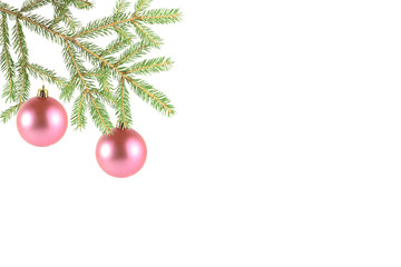 Fototapeta na wymiar Two pink balls on a fur-tree branch on a white background.