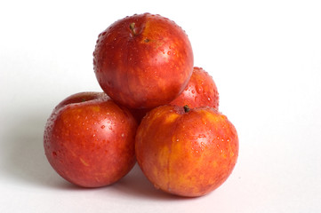 Four dropped plums