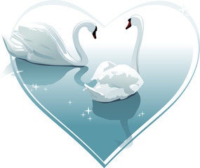 Romantic swans couple in a heart shape. Vector