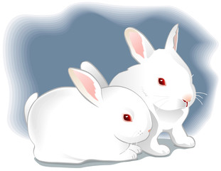 Two cute white baby rabbits. Vector illustration