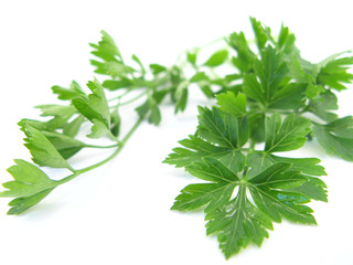 parsley