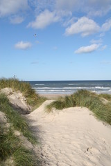 Fototapeta na wymiar Wspaniała pogoda na wydmach na plaży
