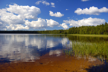 Lake in-field. A bright summer sun. White clouds. Blue water.