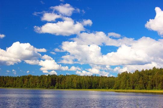 Lake in-field. A bright summer sun. White clouds overwater.