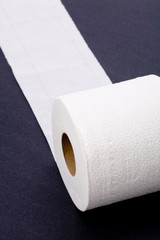 toilet paper