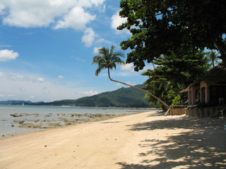 plage de sable blanc et cocotiers