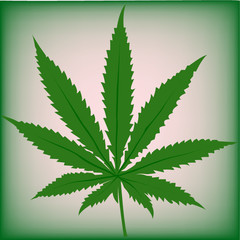Feuille de Cannabis - Vecteur