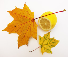 Leaves and lemon