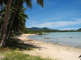 plage et cocotiers, montagnes en fond