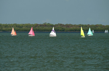Colrful sail boats 1