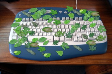 Leaves Keyboard