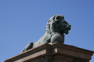 Obraz premium leon del puente serrador (santa cruz de tenerife)