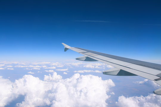 Wing of airplane