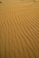 Desert Sand