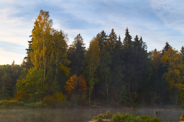 Obraz premium Beautiful autumn