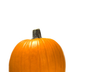 Pumpkin on white