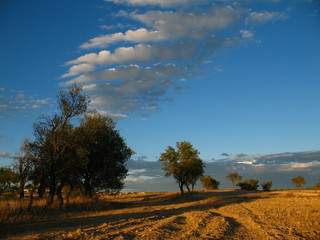 atardecer en el campo