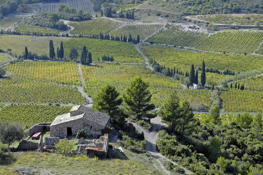 Corbieres II