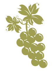 Grappolo d'uva con foglie su sfondo bianco