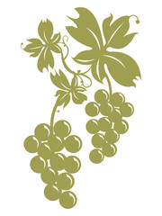 Grappolo d'uva con foglie su sfondo bianco