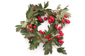 hawthorn wreath