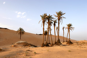 Sahara Desert, popular travel destination