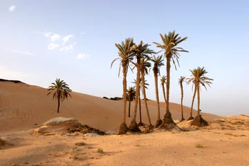 Papier Peint photo Lavable Sécheresse Désert du Sahara, destination de voyage populaire