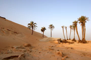 Papier Peint photo Sécheresse Sahara Desert, popular travel destination