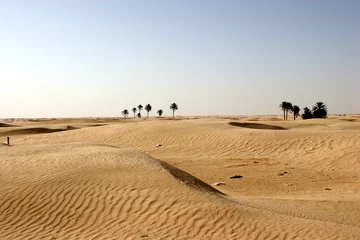 Crédence de cuisine en verre imprimé Sécheresse Sahara Desert, popular travel destination