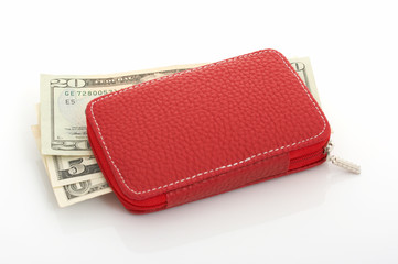 wallet and money